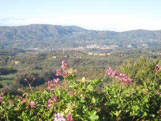 Agriturismo La Capitata - Pian di Scò - 1