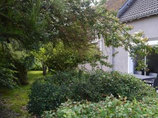 Maison de campagne calme avec jardin, proche du Zoo de Beauval et châteaux de la Loire - FR-1-591-84 - Poulaines - 9