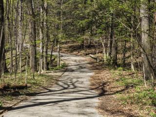 Charmante maison de campagne avec jardin privé, près de Paris et Orléans, idéale pour familles - FR-1-590-136 - 9