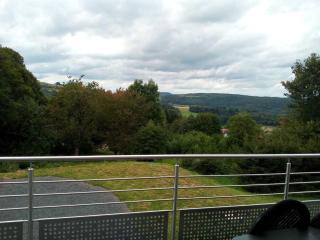 Gîte spacieux avec confort total, Hautes-Vosges - FR-1-589-220 - Anould - 6