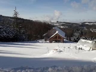Gîte spacieux avec confort total, Hautes-Vosges - FR-1-589-220 - Anould - 4