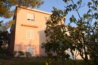 Apartments by the sea Starigrad, Paklenica - 17865 - Starigrad-Paklenica - 0