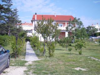 Apartments with parking space Kampor, Rab - 17886 - 0