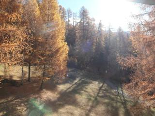 Studio pour 4 pers, skis aux pieds, garderie proche - FR-1-322-486 - Les Orres - 3
