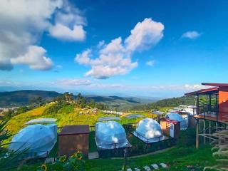 ม่อนพาฝัน - 5