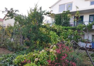 Apartments with a parking space Murter - 18186 - Murter (Morter) - 4