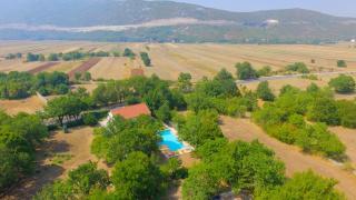 Family friendly house with a swimming pool Bisko, Zagora - 18181 - Dicmo - 8