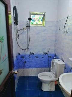GREENISH INN (ROOMS) - Nanu Oya - 6