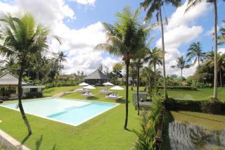 Puri Hijau Villa with Jungle View in Tegalalang Ubud - 8