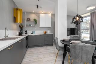 Apartament Prestige Centrum 32 - Bielsko-Biała - 7