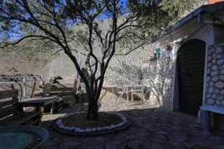 Apartments with a parking space Brela, Makarska - 18495 - Brela - 3