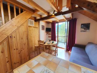 Mas du Peyron - Saint-Chaffrey - 0