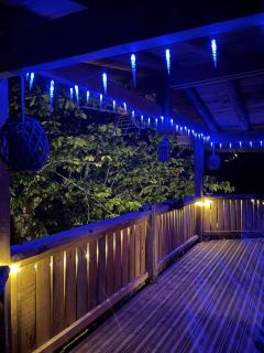 Chalet cocooning pleine nature - Montmorot - 4