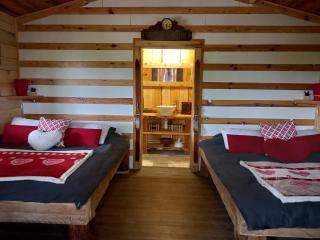 Chalet cocooning pleine nature - Montmorot - 2