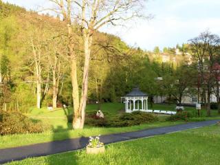 Apartmán U Lanovky - Jáchymov - 7