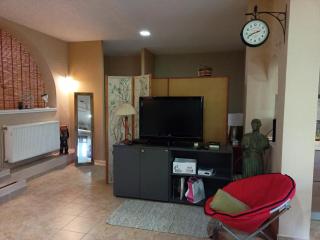 Filion comfortable country apartment - Lefkakia - 3