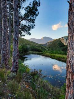 The Volmoed Trust - Hermanus - 5