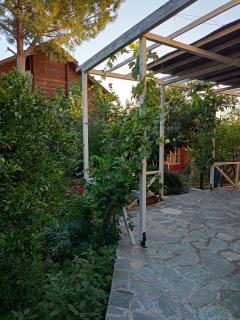 Filion comfortable country apartment - Lefkakia - 8