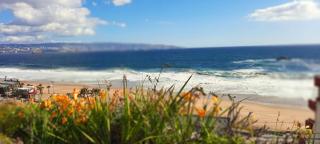 Amplio Departamento a pasos de Reñaca increible Vista - 0