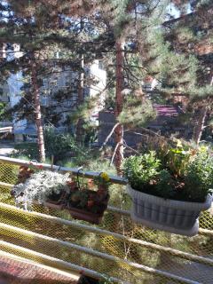 Londa - Borjomi - 7