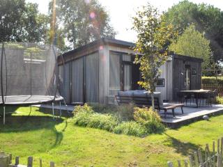 Chalet in Friesland with fenced garden - Haulerwijk - 0