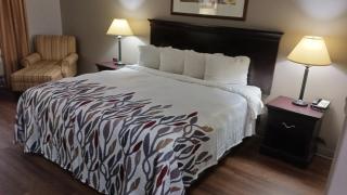 Red Roof Inn & Suites Midland - Midland - 2