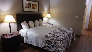 Red Roof Inn & Suites Midland - 4