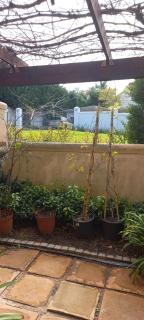 Tranquility Studio Apartment - Somerset West - 6