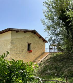 Le Farine Del Maestro - Barete - 7
