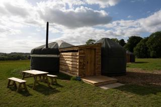 Wild Meadow, Lodge Farm, East Raynham - Fakenham - 6