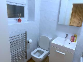 Walk to London Bridge En Suite Apartment with Kitchen - Londra - 1
