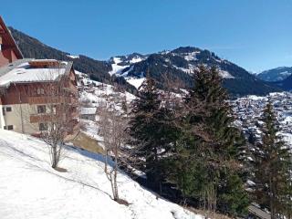 Appartement cosy avec balcon, 2 chambres, parking et wifi à Châtel - FR-1-198-162 - Châtel - 4