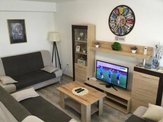 Apartman * VICTORY * - Banja Luka - 3