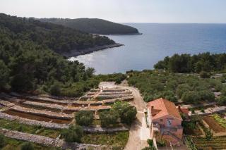 Seaside house for families with children Cove Zanavje, Korcula - 19224 - Blato - 9