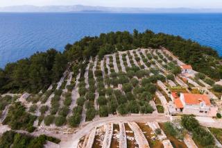 Seaside house for families with children Cove Zanavje, Korcula - 19224 - Blato - 8