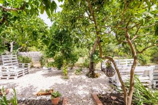 Seaside holiday house Slano - Dubrovnik - 19167 - Slano - 2