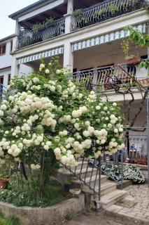 Apartments and rooms by the sea Rovinj - 19183 - Rovinj - 4