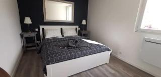 App 13 Mulhouse centre , 4 personnes - Mulhouse - 5