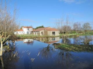 Gîte rénové avec spa, piscine chauffée, WiFi et accès handicapés au cœur du Marais Breton - FR-1-426-321 - 9