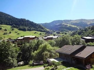 Appartement cosy T3 proche village et pistes pour 4 pers, équipé, casier à skis, ascenseur - FR-1-342-281 - 1