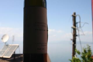 Villa Filip - Trpejca - 8