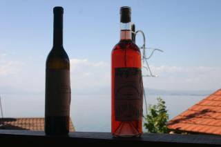 Villa Filip - Trpejca - 7