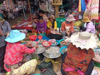 Phonluer Angkor Homestay, - Siem Reap - 6