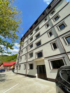Bibis Apartments - Nehoiu - 7