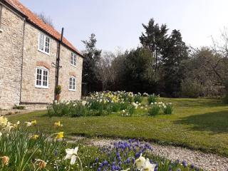 Characterful Cottage adjacent to an Orchard - Brockley - 9