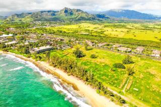 Plantation Hale D10 - Kapaa - 4