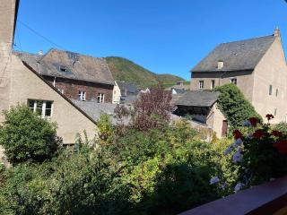 Hotel Moselterrasse - Ediger-Eller - 8