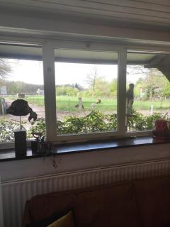 Bergerhof de Stal - 5