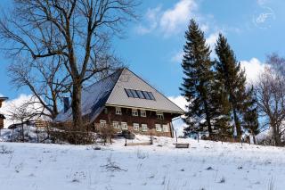 Feißesberghof - Wohnung in der Tenne - Triberg im Schwarzwald - 9