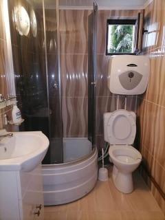 Pensiunea Casa Andreea - Bârsana Maramureș - Bîrsana - 6